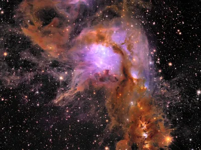 Euclid&rsquo;s new image of star-forming region Messier 78, a nebula that lies in the constellation Orion.