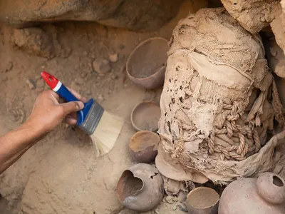 The mummified remains of eight children, who may have been sacrificed, was found near the tomb of an elite individual of pre-Incan society.