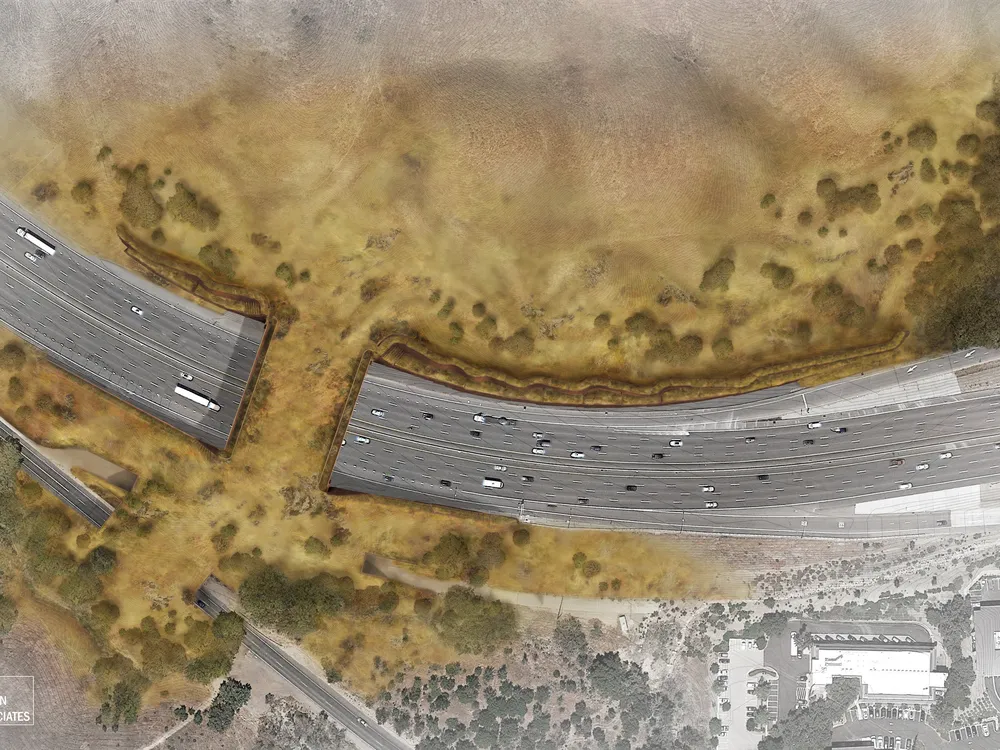 Rendering of wildlife bridge