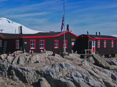 Penguins surround the post office at Port Lockroy, a British outpost on Goudier Island.